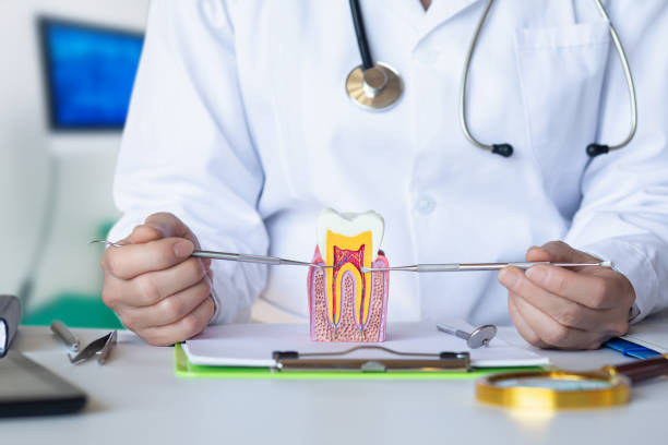 Best Emergency Treatment for Toothache in Mora, MN